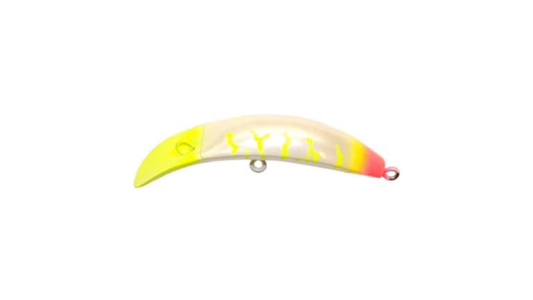 Brad's KillerFish - 040