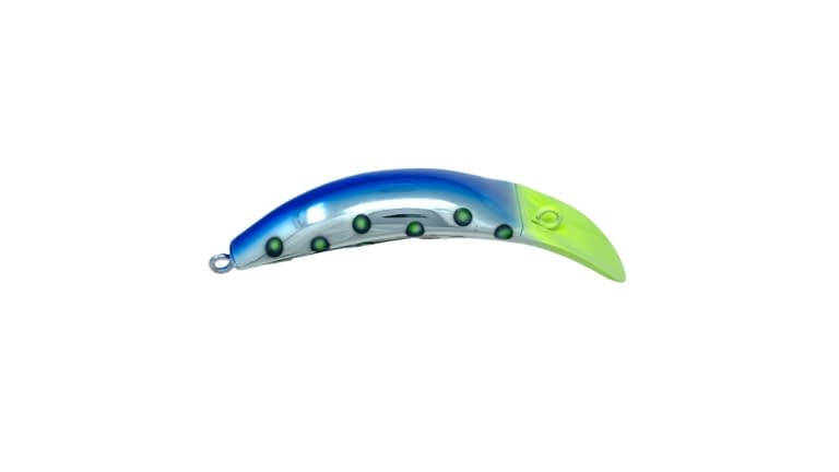 Brad's KillerFish - 067