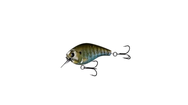 13 Fishing Scamp - BR