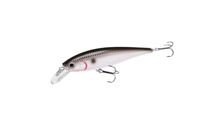 Lucky Craft Pointer 78 - 077