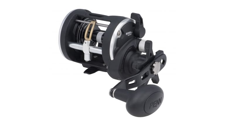 Penn Rival Level Wind Reels