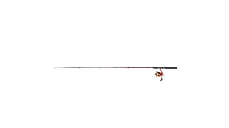 Master Roddy Lites Spinning Combo