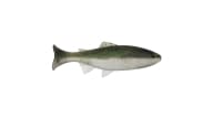 Anglers King Sugar Shaker Trout - SS575JR-031 - Thumbnail